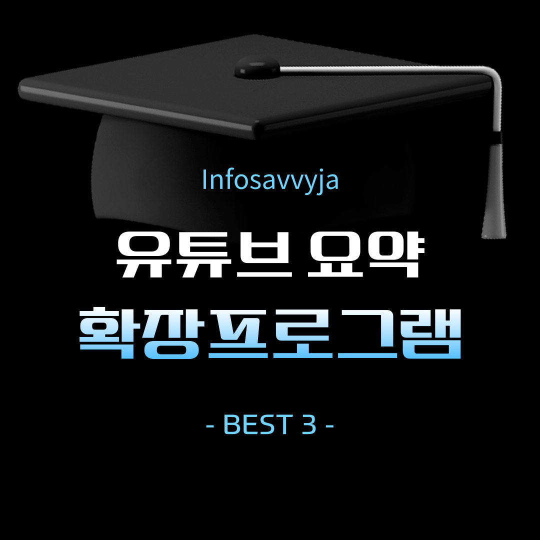 유튜브 요약 확장 프로그램